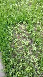 IMG_20170521_192342178.webp