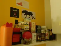 P1010575.webp