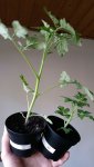 20170521_195805.jpg