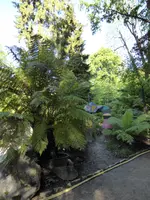 P1050599Wunschtor.webp