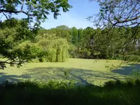 P1050605Teich.webp