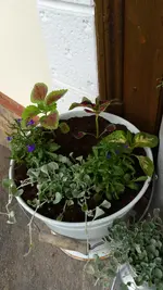 20170520_190029.webp