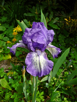P1130806.webp