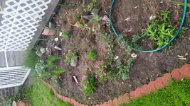 20170521_210636.webp
