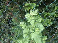 IMG_0140.webp