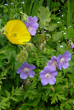 P1130804.webp