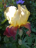 P1020446.webp