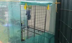 20170519_150054.webp