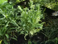 BILD6560.webp