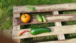 20160928_140432.webp