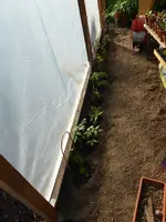 P1020571.webp