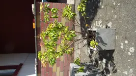20170522_111939.webp