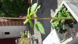 20170522_111920.webp