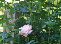 IMG_1931.JPG