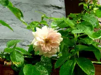 IMG_8020.webp