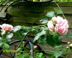 IMG_8071.JPG