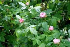IMG_2041.webp