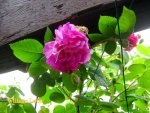 IMG_8066.JPG