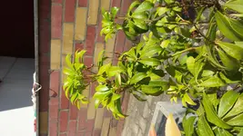 20170522_111931.webp