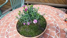 IMG-20170522-WA0002.webp