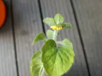 2017-05-22 15.27.07.webp
