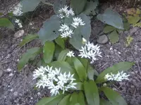 BILD6514.webp