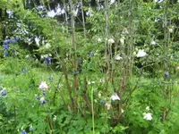 BILD6552.webp