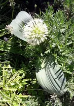 montag 010.webp