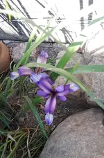 montag 053.webp