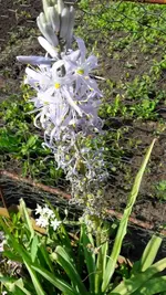 montag 049.webp