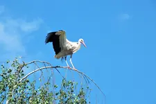 DSCF8833 (2).webp