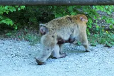 DSCF8845 (2).webp