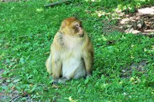 DSCF8851 (2).webp