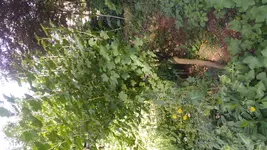 20170521_105058.jpg
