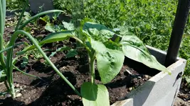 20170523_111251.webp