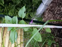 20170523_074842.webp