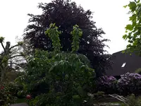20170523_125320.webp