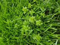 20170519_171717.webp