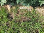 IMG_3036.jpg