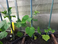 20170523_175334.webp