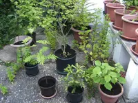 BILD6590.webp