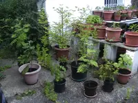 BILD6591.webp