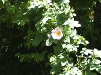 BILD6583.webp