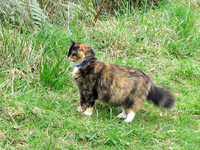 IMG_0477v (2).webp