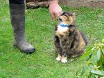 IMG_0498.JPG