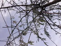 20170523_204524.webp