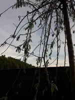 20170523_204503.JPG