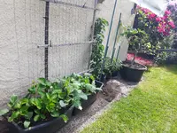 20170524_113548.webp