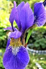 100_3995.webp