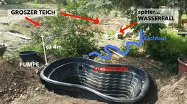 teich april 2017.jpg